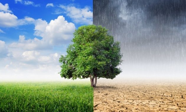 Perbedaan Antara Iklim dengan Cuaca