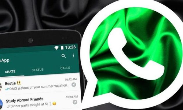 3 Cara Menghilangkan Status Online di Whatsapp